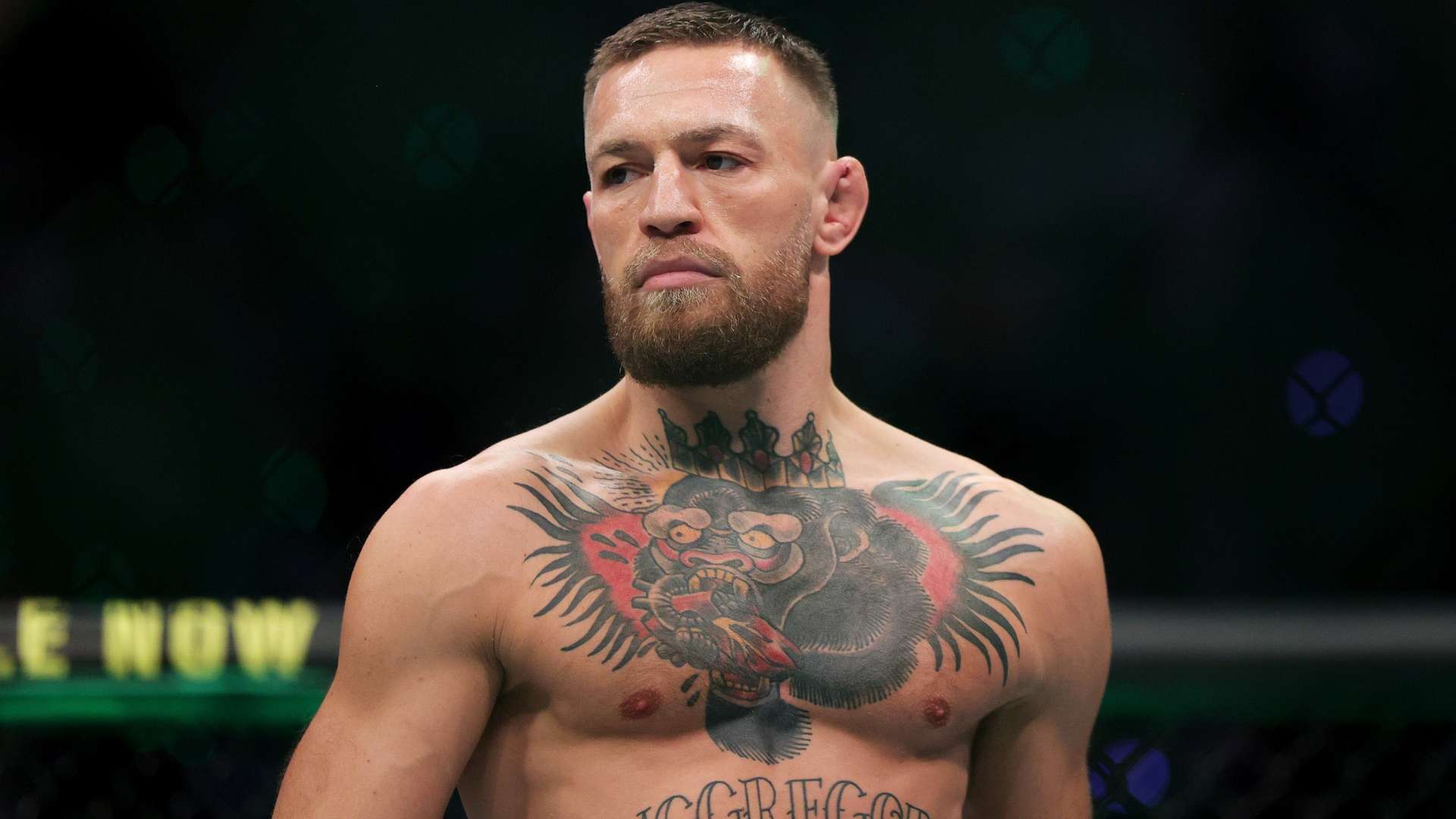 每个人都在 每个人都在